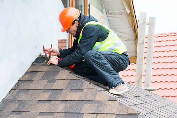Best Storm Damage Roof Repair  in Sturgeon, MO